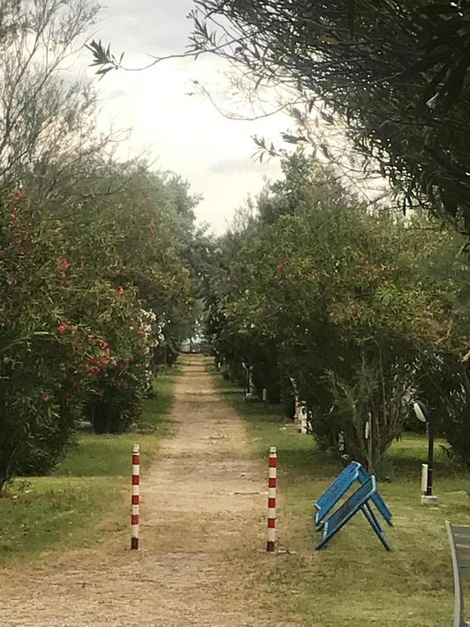Maronda * Marina Di Montenero