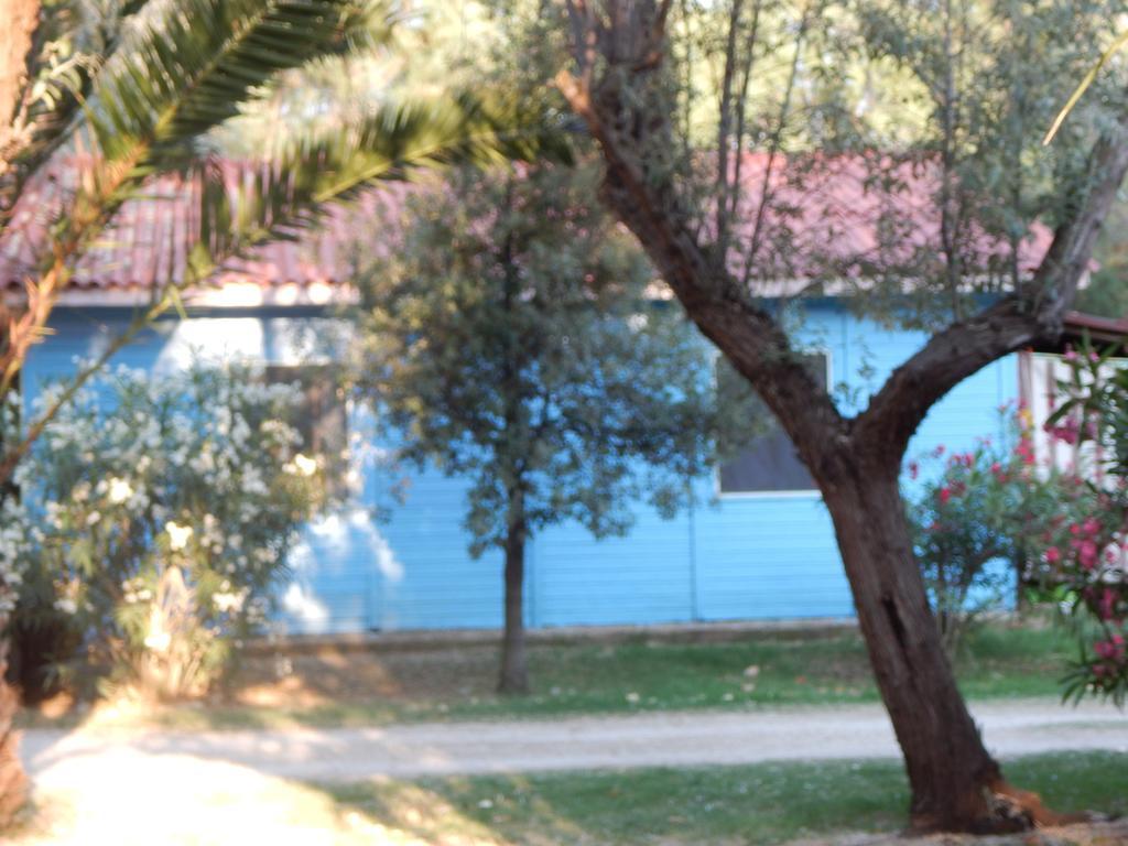 Maronda Camping